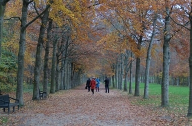 デジカメ写真_補正前2