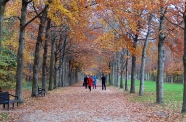 デジカメ写真_補正後2