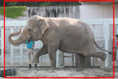 一眼レフデジカメプリント見本Lサイズ