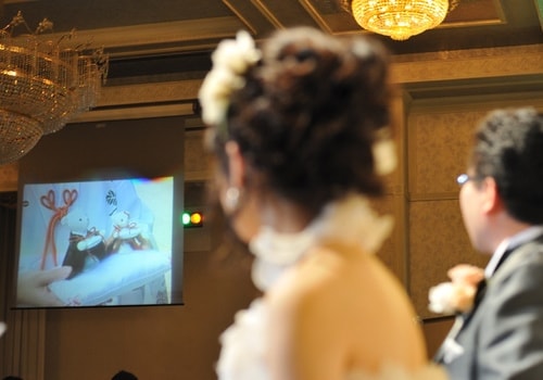 サプライズ動画