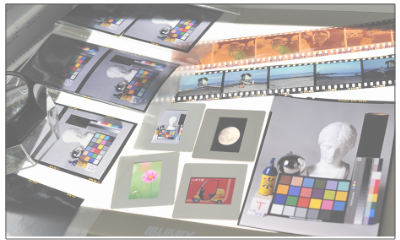 フィルムッスキャニング詳細へ