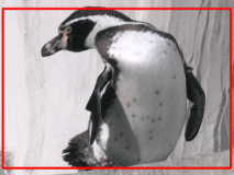 デジカメプリント見本Lサイズ