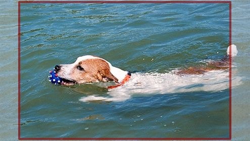 スマホプリント見本HV