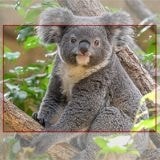 スマホプリント見本スクエア